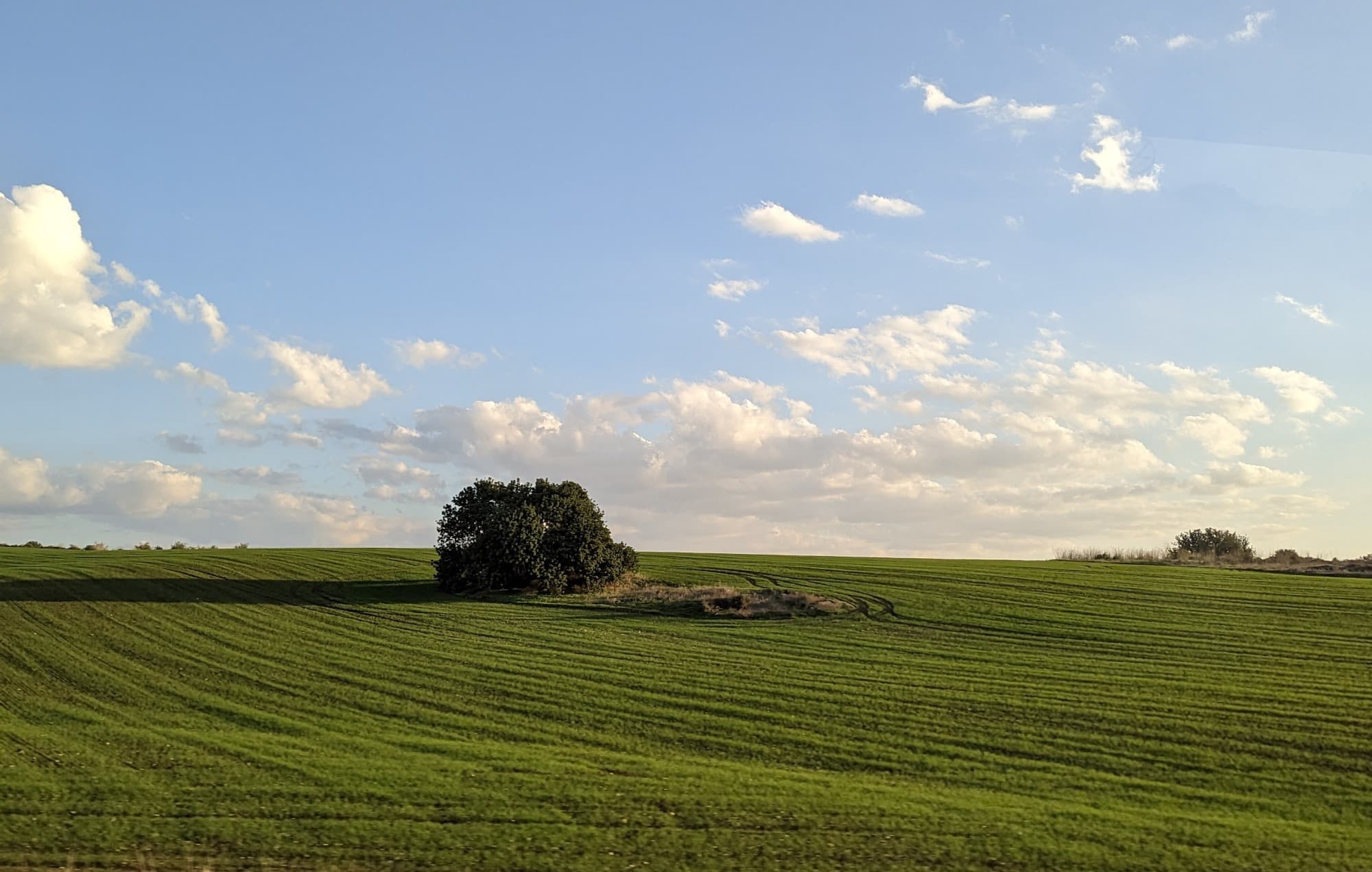 Elah Valley