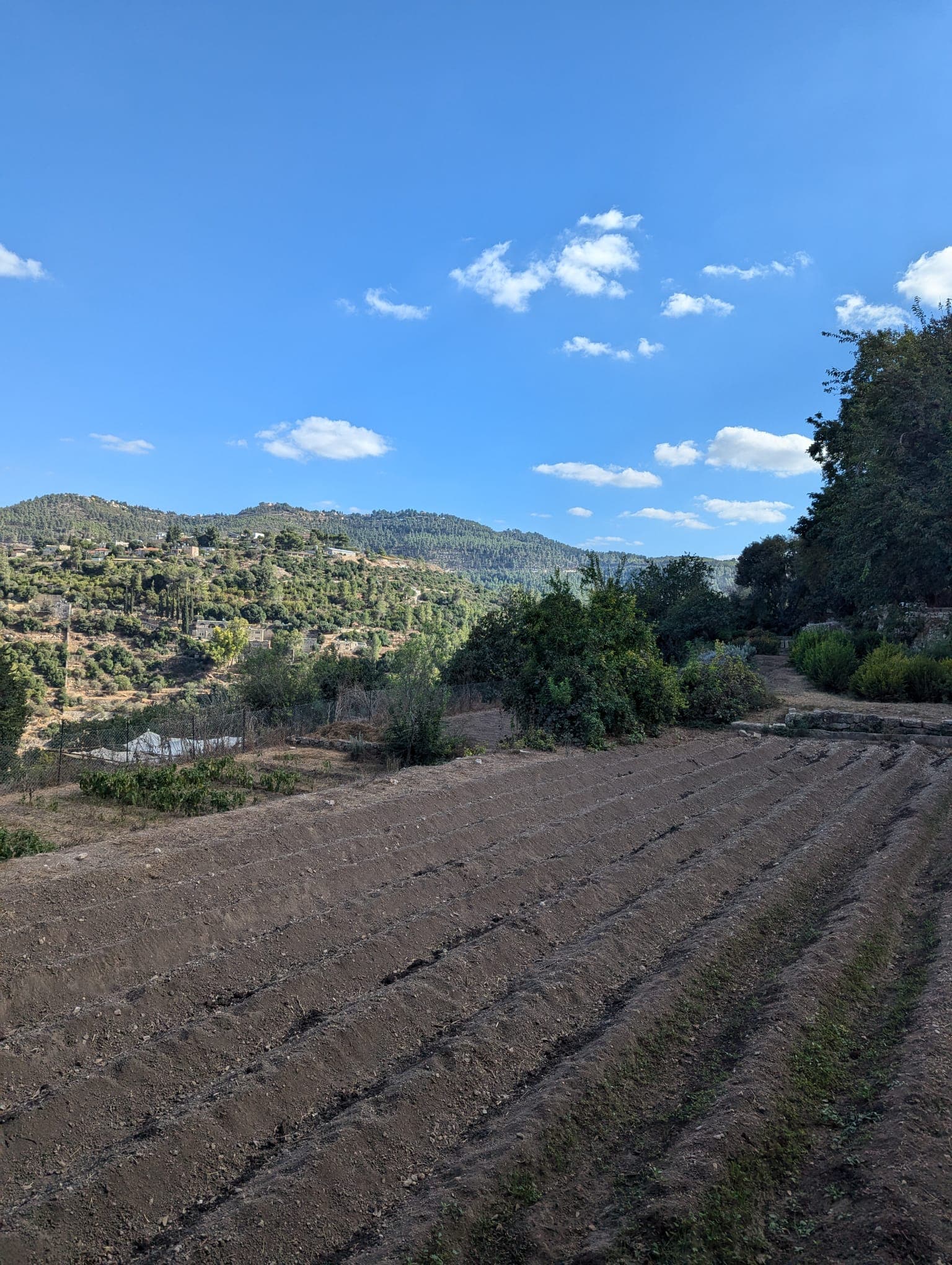 Judean Hills